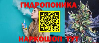 не бодяженный Кингисепп