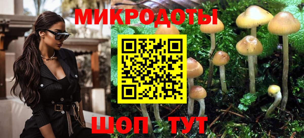 Псилоцибиновые грибы GOLDEN TEACHER Курчалой