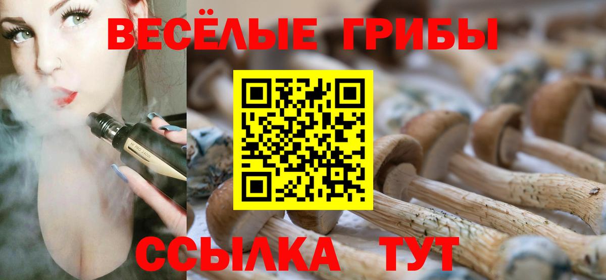 Псилоцибиновые грибы ЛСД  Вход с VPN  Курчалой 